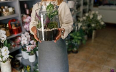 Gdzie szukać roślin w słoiku – nietypowa ozdoba do domu?