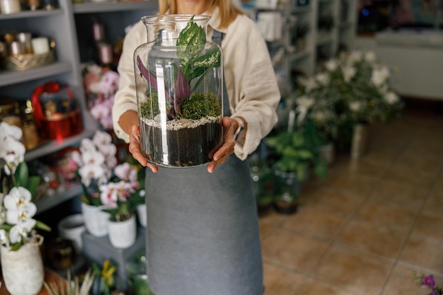 Gdzie szukać roślin w słoiku - nietypowa ozdoba do domu?