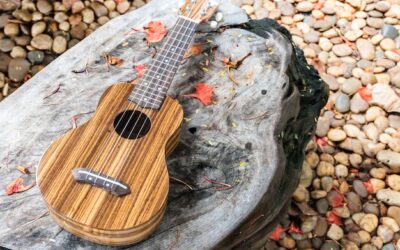 Ile strun ma mandolina i jak wpływa to na jej brzmienie?