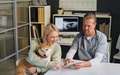 Ile zapłacimy za wizytę u weterynarza z psem?