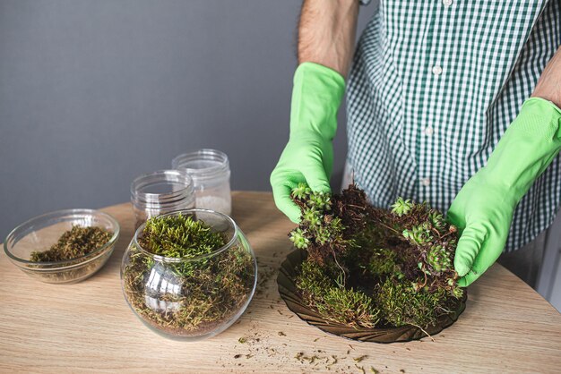 Jak stworzyć miniaturowy ogród w słoiku z mchem?