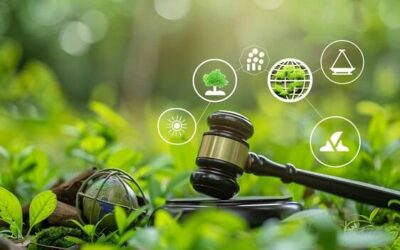 Kogo obowiązuje rejestracja w BDO i dlaczego warto to wiedzieć?