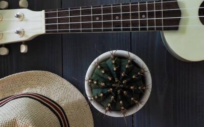 Jakich firm ukulele warto szukać dla początkującego gracza?
