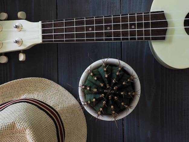 Jakich firm ukulele warto szukać dla początkującego gracza?